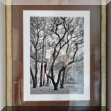 A12. Framed photo ”Rice Oak” by Gary F. 29”h x 24”w - $75